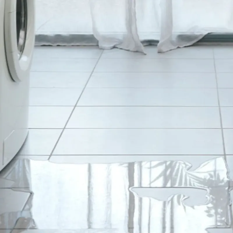 Appliance Leak Cleanup in Sugarland Run, VA