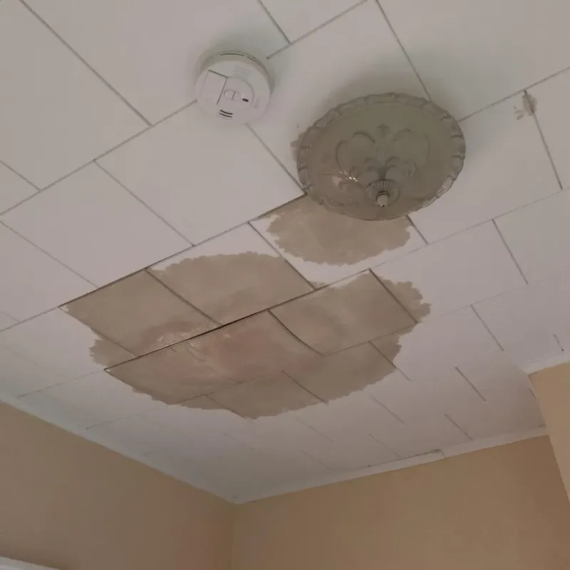 Ceiling Water Damage Repair in Sugarland Run, VA