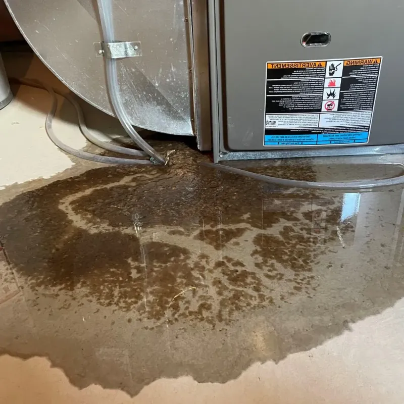 Pipe Burst and Leak Restoration in Sugarland Run, VA